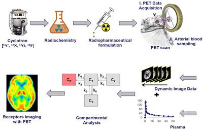 PET Molecular Imaging in Drug Development: The Imaging and Chemistry Perspective